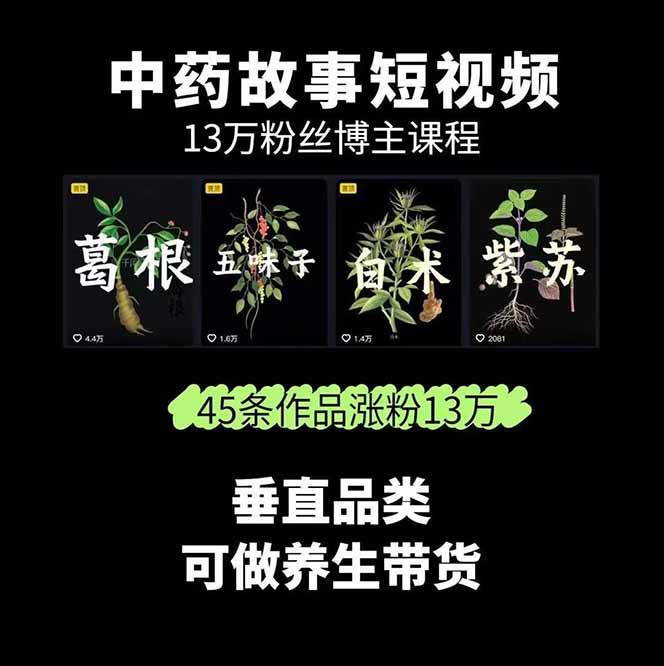中药文化内容创业指南：从故事挖掘到流量变现，打通中医IP商业化全链路-闪盟网（www.smw1.com）是专注网赚项目,技术教程,活动线报,软件资源,网站源码,游戏搬砖,网络赚钱,创业项目,免费给你分享网络赚钱项目、网赚经验交流等,帮助大家上网玩手机玩游戏互联网就可以做轻松赚取你想要的!